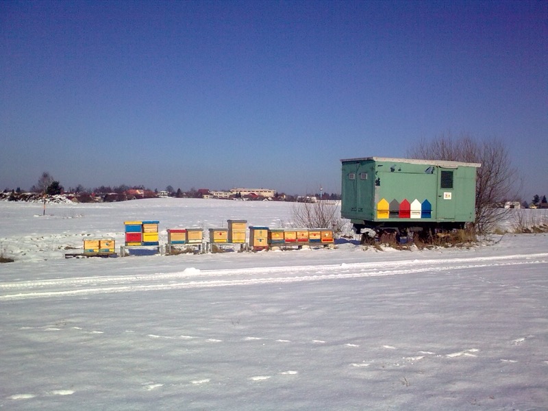 Včelařské stanoviště